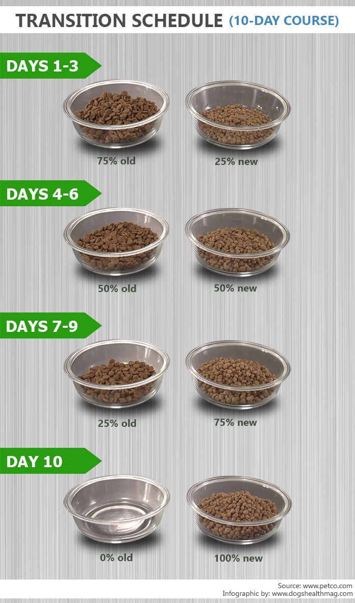 dog food transition schedule