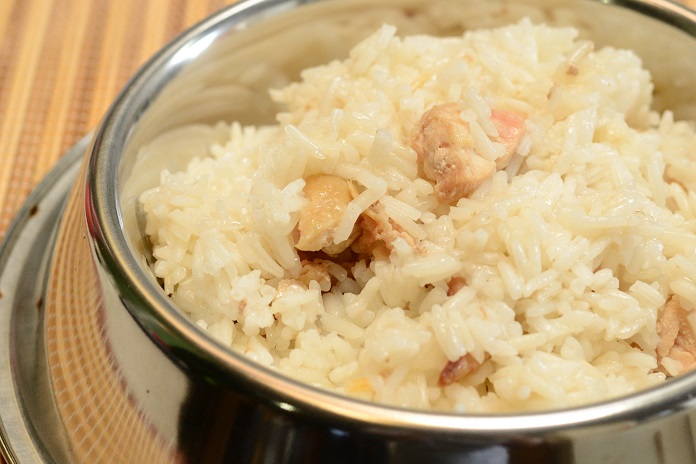 dog food bland diet chicken and rice