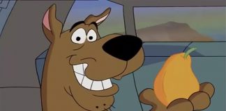 what kind of dog is scooby doo