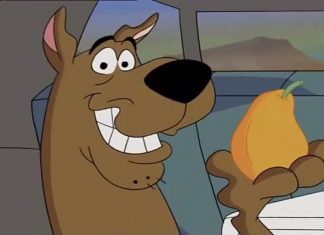 what kind of dog is scooby doo