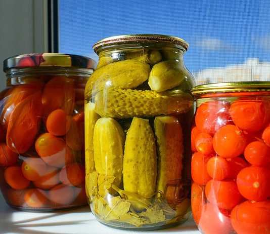 can dogs eat pickles s health can dogs eat pickles s health