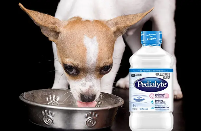 can dogs have pedialyte