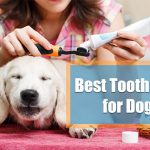 best dog toothpaste