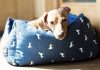 best washable dog beds