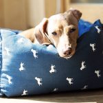 best washable dog beds