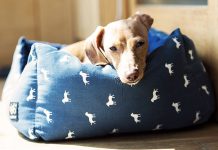 best washable dog beds