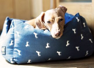 best washable dog beds