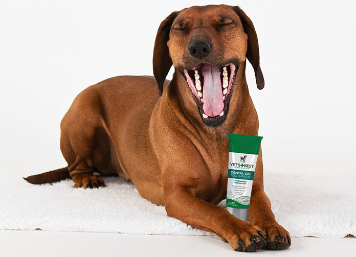 vets best dental gel toothpaste