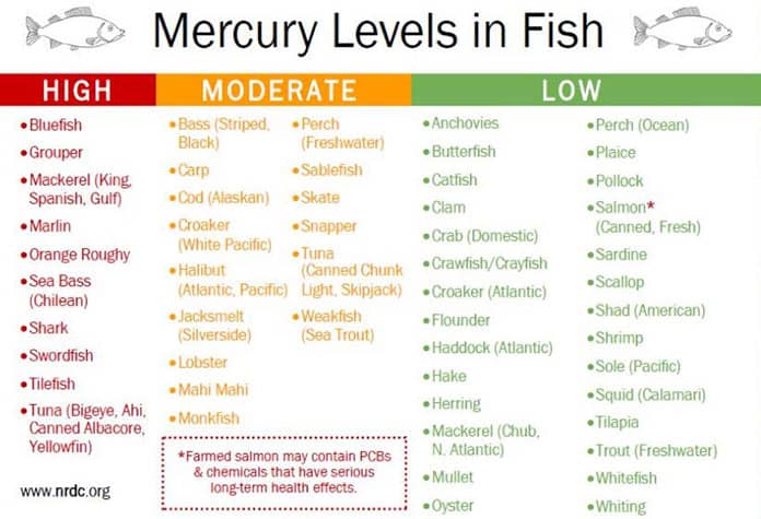 catfish mercury level
