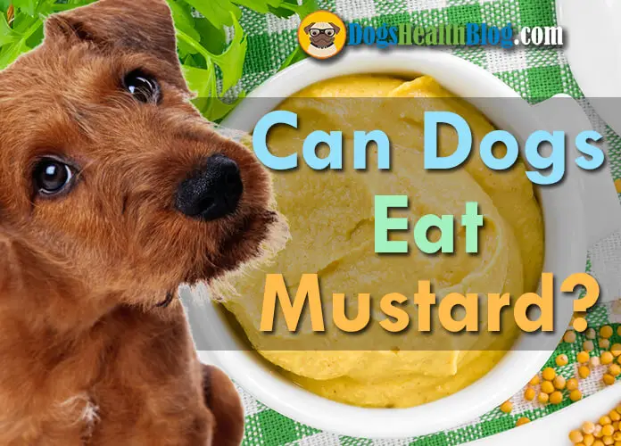 can dogs eat mustard