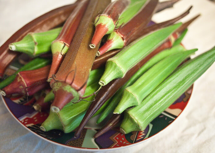 can dogs eat raw okra