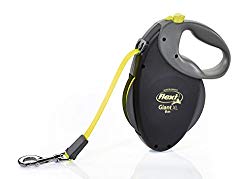 flexi retractable leash