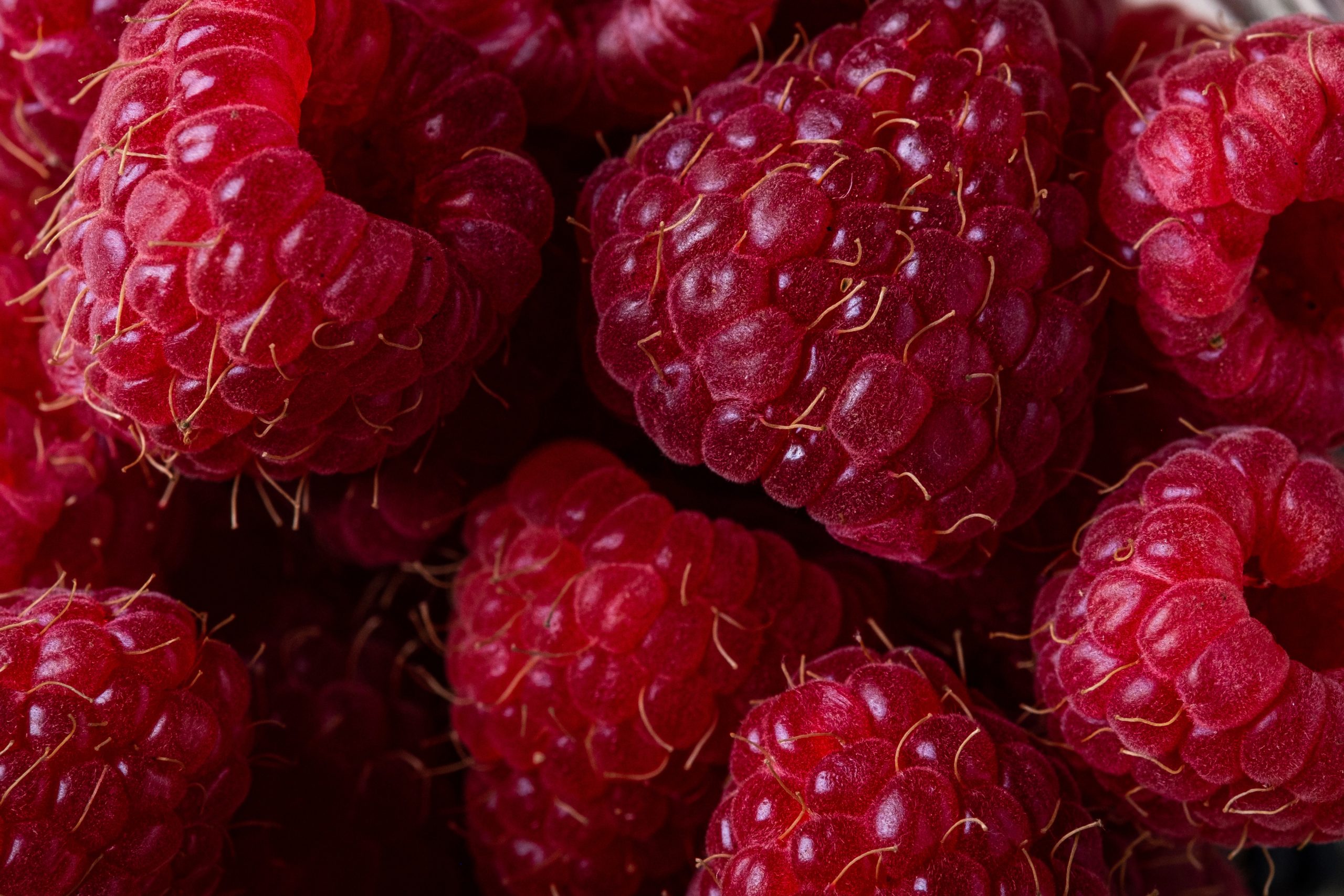Picture of raspberries