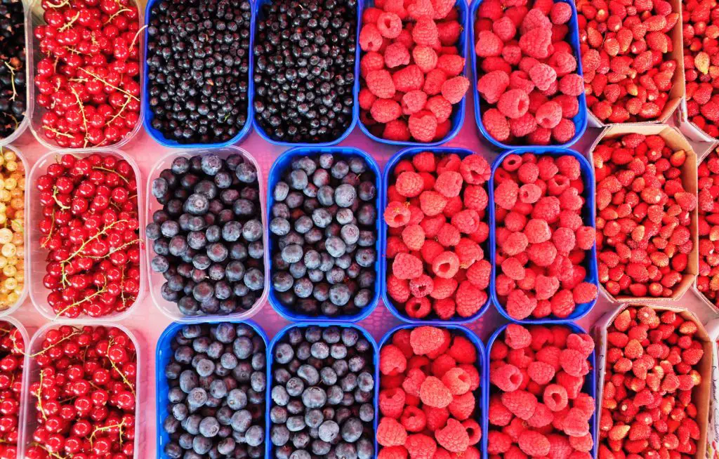 Alternatives to blackberries